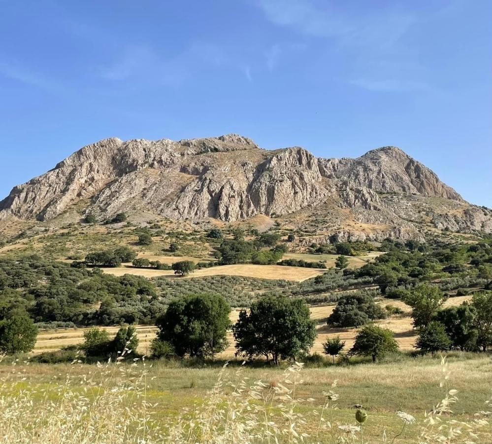 Cortijo Rancho Verde Кольменар Экстерьер фото