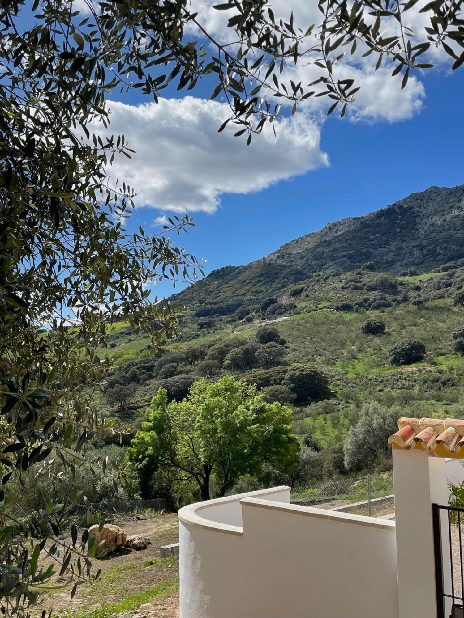 Cortijo Rancho Verde Кольменар Экстерьер фото