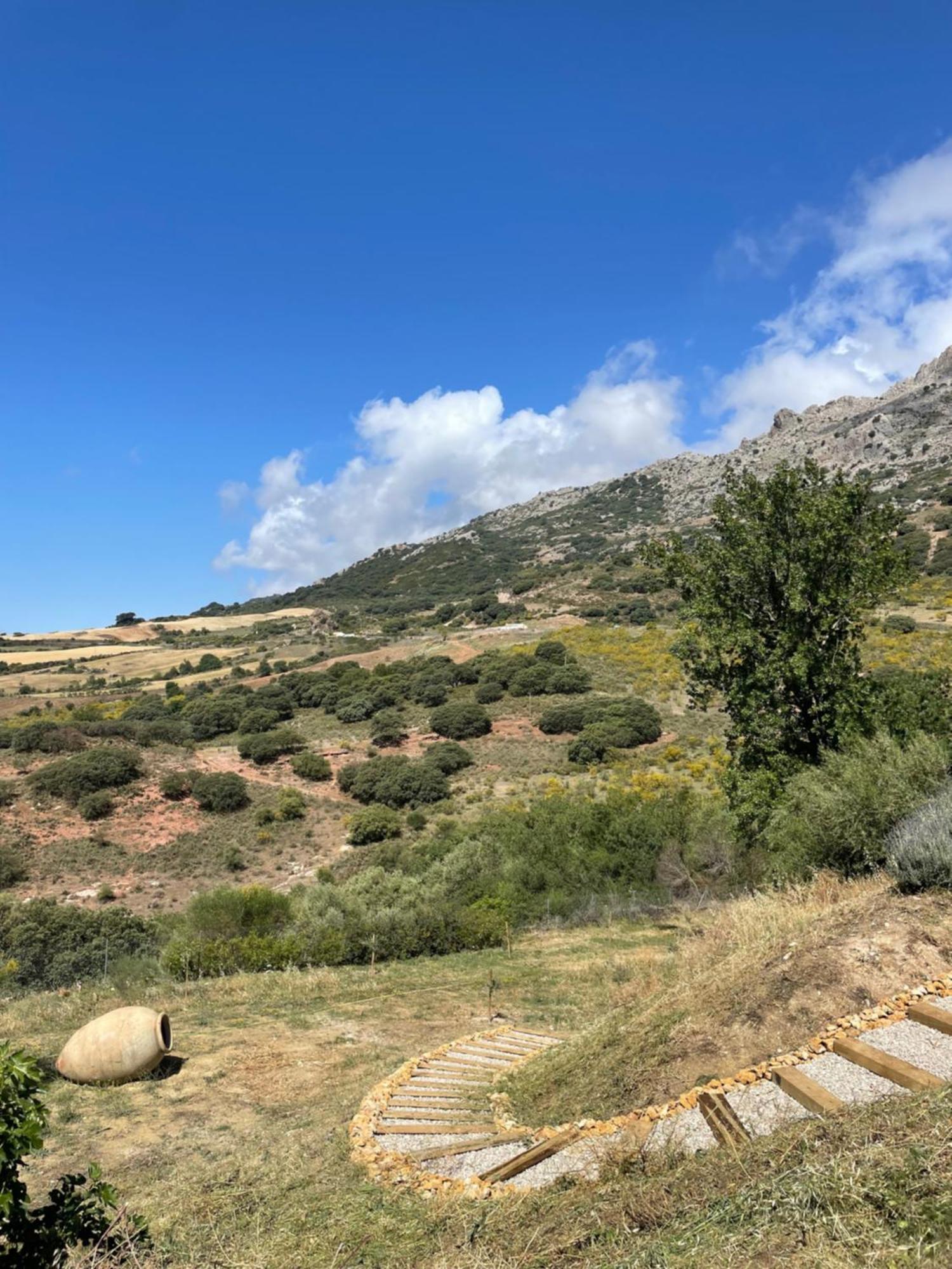 Cortijo Rancho Verde Кольменар Экстерьер фото