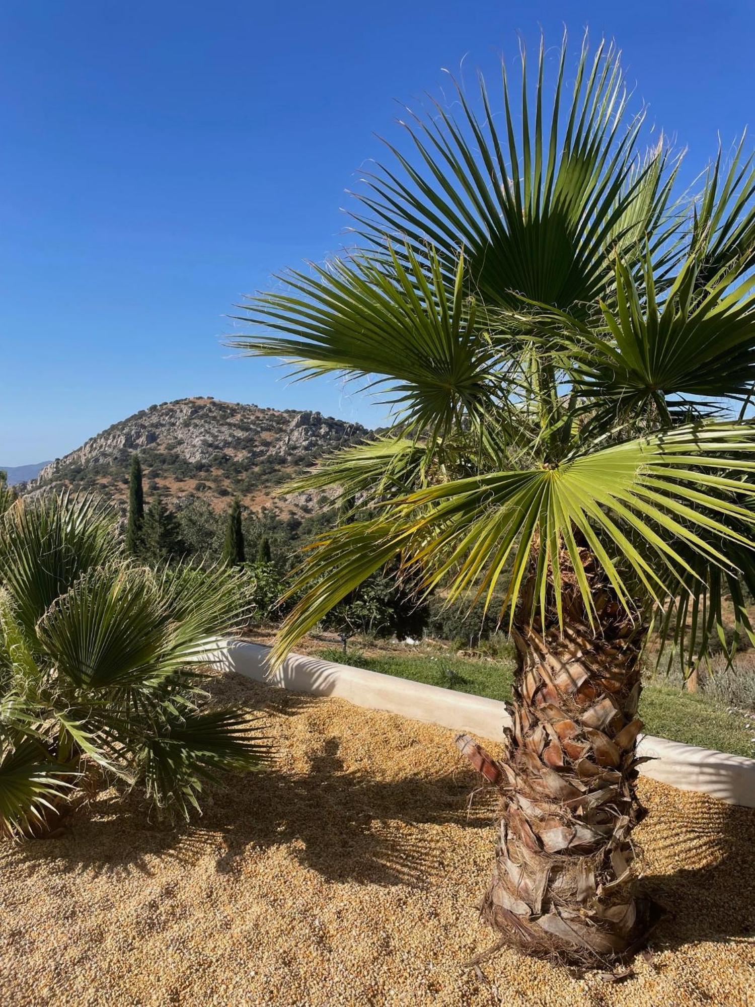 Cortijo Rancho Verde Кольменар Экстерьер фото